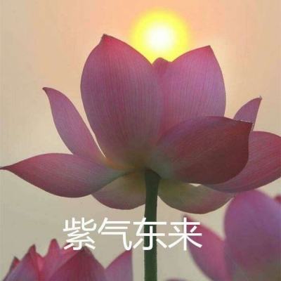 不朽三国无限元宝版下载